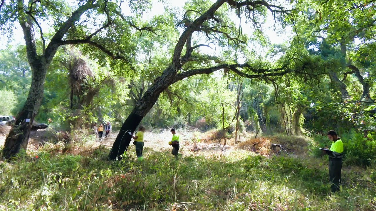 Conocemos el catálogo de paisajes culturales de Andalucía como patrimonio inmaterial a proteger
