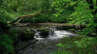 Silence of the Mountains | Cinematic Nature Journey 🌿 | Travel Diaries screenshot 3