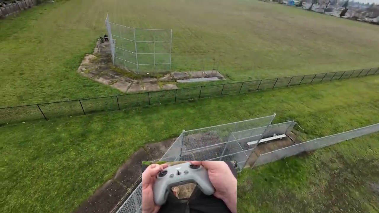 Day 10: Dogs - DJI Avata 2