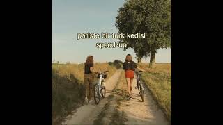 Eνας Τούρκος Στο Παρίσι Speed~Up Pariste Bir Turk Kedisi
