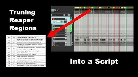 Creating Video Dubbing Script From Reaper Regions