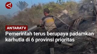 Pemerintah terus berupaya padamkan karhutla di 6 provinsi prioritas screenshot 5