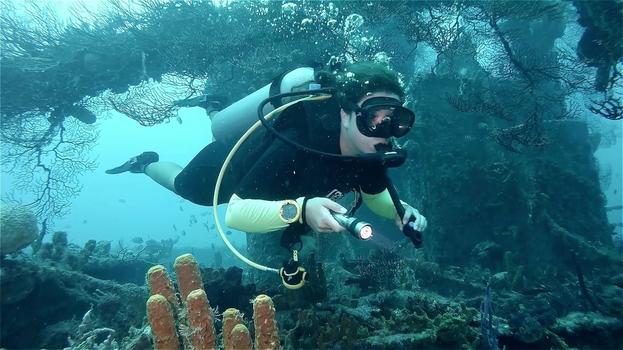 DIVE BARBADOS The Scubaverse Trip Review YouTube