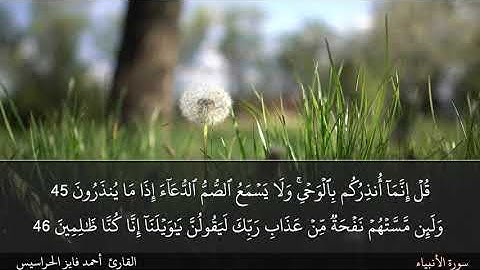 الصفحة 326 سورة الأنبياء بصوت القارئ المهندس أحمد فايز الحراسيس
