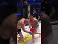 Darko Stosic is a scary man 😱 #ksw #KSW87 #knockoutcity #shorts