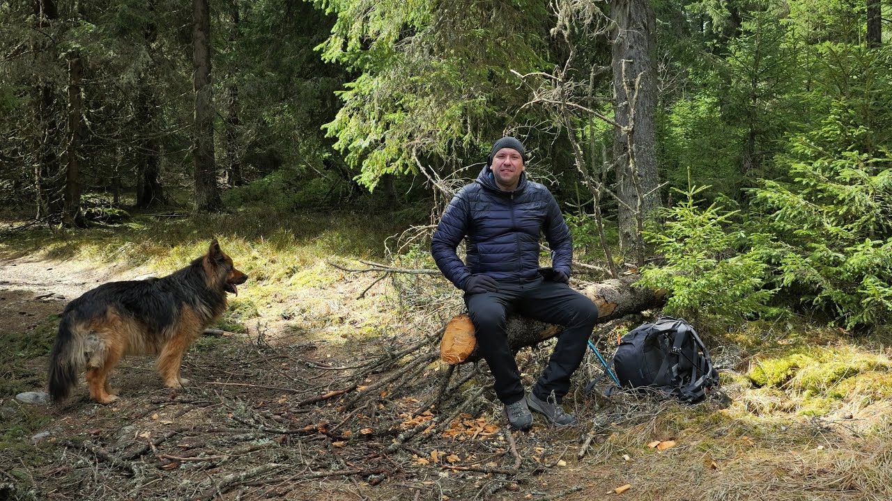 Sălbăticia Apusenilor și prietenia unui câine | drumeție pe Muntele Băișorii – Vf. Buscat