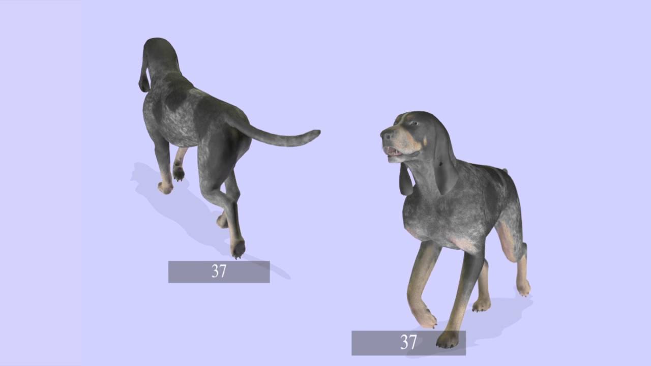 theHunter Classic  |  Scent hounds  - Very early render WIP