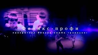 Феникс-профи. Союз боевых искусств