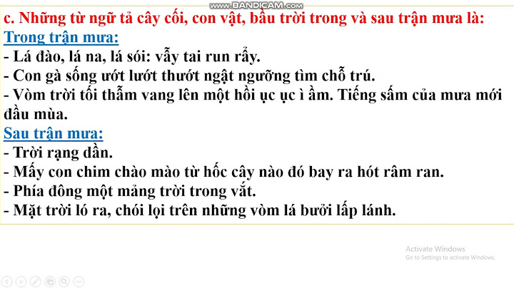 Tập làm văn luyện tập tả cảnh trang 43 năm 2024