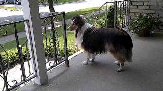 VID-20120619-00000