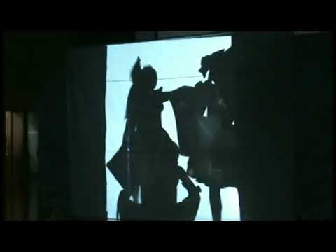 Touhou Bad Apple Shadow Art 東方 Real People Cosplay 