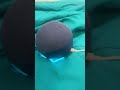 Alexa Christmas fart