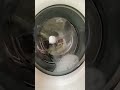 Shorts cleaning washingmachine