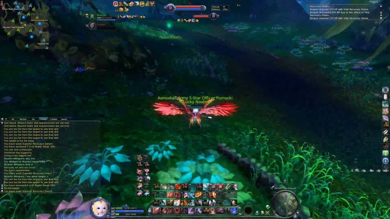 Aion 5.0 PvP Assassin HueHue