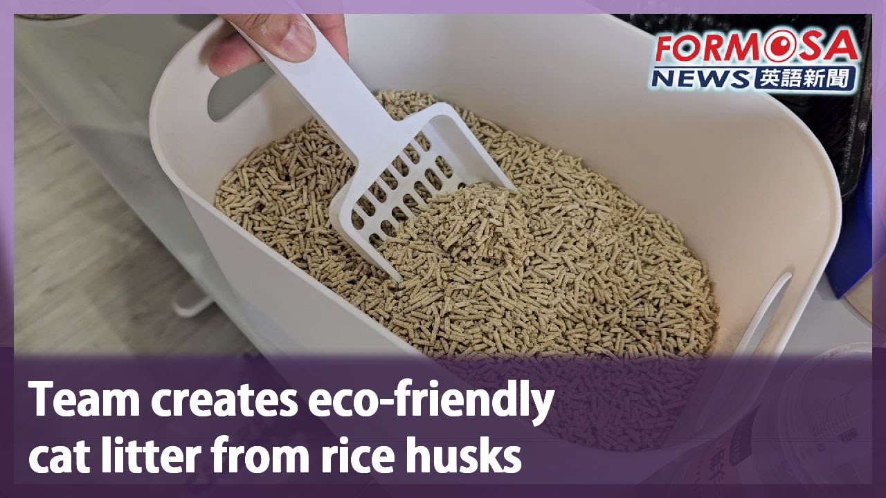 Picture of Team creates eco-friendly cat litter from rice husks｜Taiwan News - YouTube