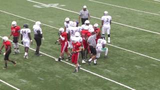 2016 RPFL All-Star Game