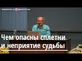 Торсунов О.Г.  Чем опасны сплетни и непринятие судьбы