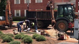 Natchitoches Parish Journal