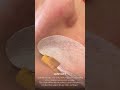 Lovely Lash Lift @ O'some Brows