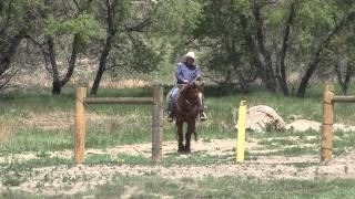 Parks Homestead Ranch Regional Park