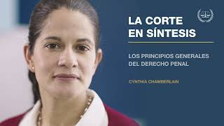 La Corte En Síntesis Principios Generales