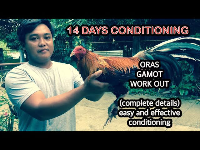 14 DAYS CONDITIONING | meds and vitamins + light trainings class=