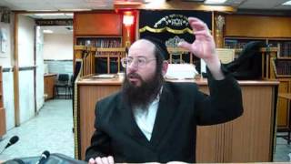 הרב אברהם יצחק כרמל-תורה קטו'