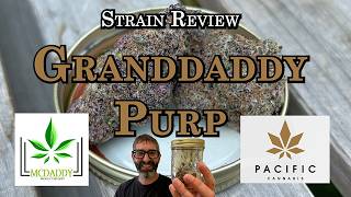 Strain Review - Granddaddy Purp - Pacific Cannabis