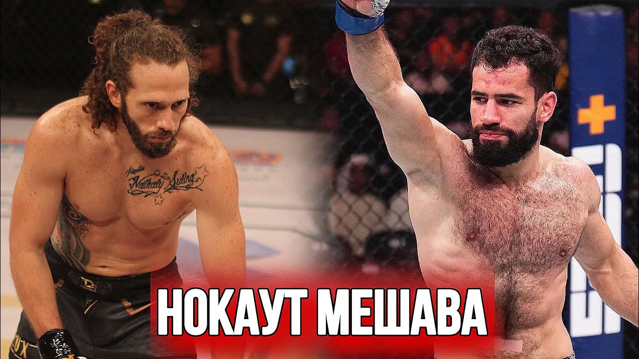 ������� ������������: ����.