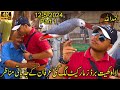 Lalukhet Exotic Birds and Rooster Market Karachi 12-5-24 Part 1 | Unique and Rare Birds and Parrots