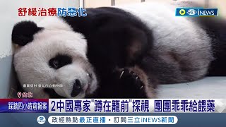 陸團抵台! 中國專家蹲籠前探視 團團乖乖給餵藥 台陸兩方達成共識不適合手術 團團這週病情持平未惡化 中國專家預計11/7離台│記者 光申鈺 曾建勳│【台灣要聞】20221102│三立iNEWS