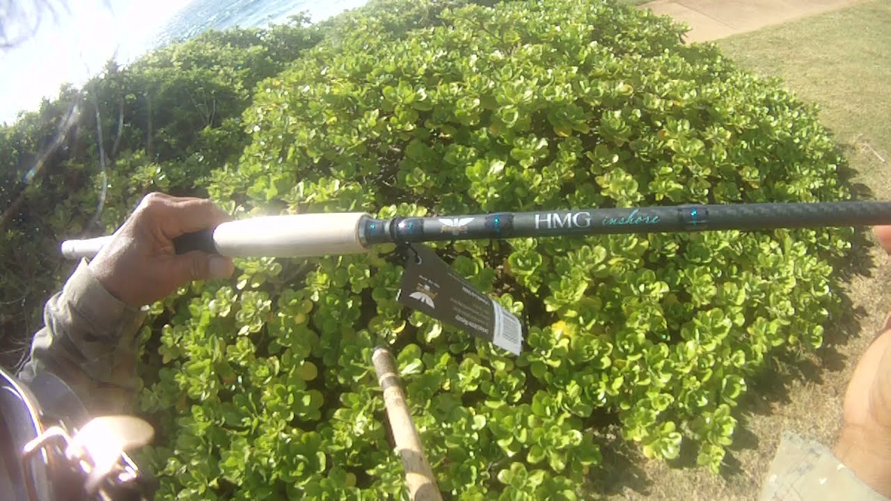 fenwick hmg Inshore 8ft Beware 