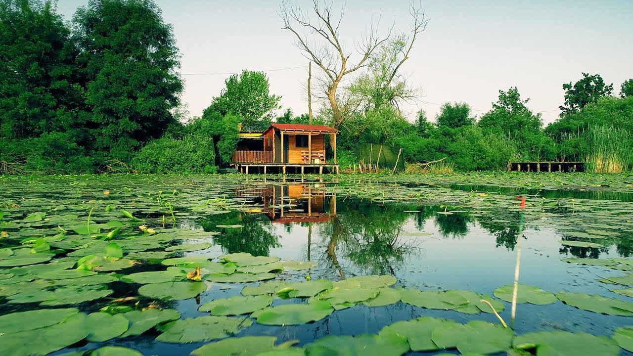 Zaboravljeni prirodni rezervat Bardača kod Srpca - Dron.ba za N1