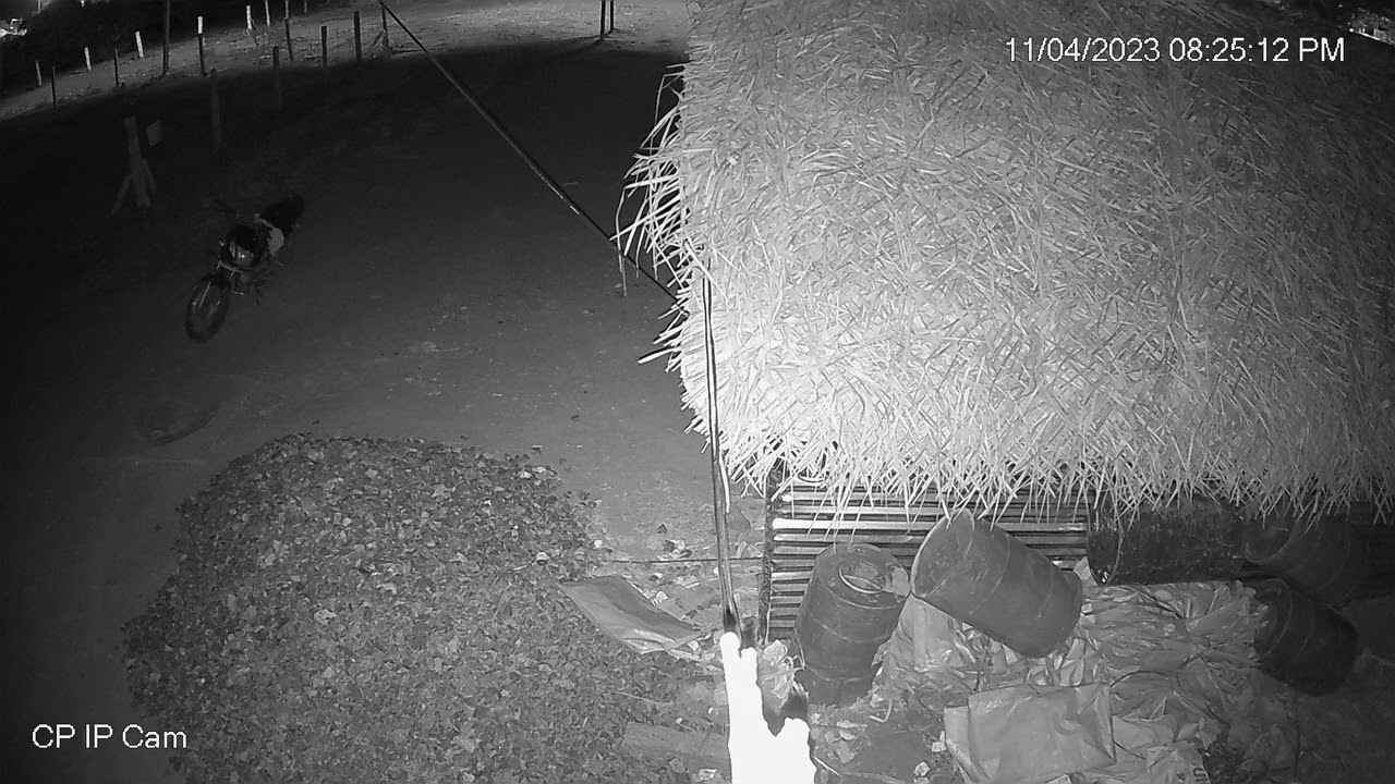 Thief catch on CCTV