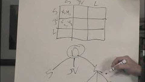 T2+2™: Decision Trees