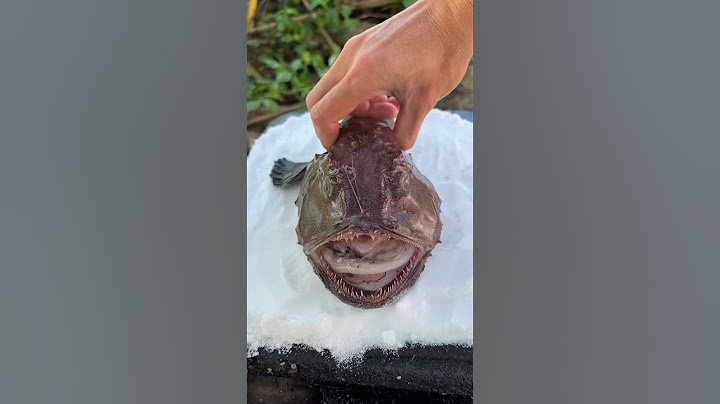 What Fish Can Scream! ? |Chinese Mountain Forest Life And Food #Moo Tiktok #Fyp