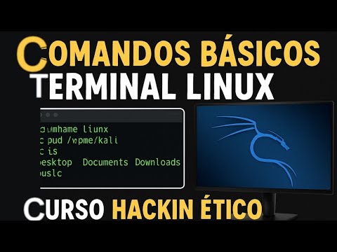 📂⌨️ ¡Domina la terminal de Linux fácil y rápido! ⏱️💡
