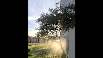 الآية 186 من سورة البقرة  الشيخ عبد الباسط  عبد الصمد