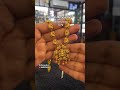 very beautiful and lightweight gold long Hara start from only 11 grams
