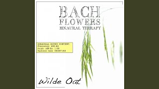 Wild Oat EFT Dose Therapy (Binaural Real Frequency from Bach Flowers)