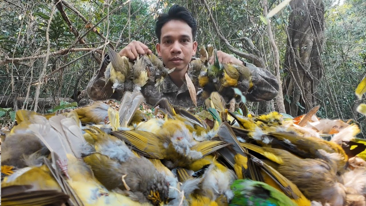 ยิงนกกินหมากไฮหมานๆ//ຍິງນົກກິນຫມາກໄຮ 25 กุมภาพันธ์ ค.ศ. 2026