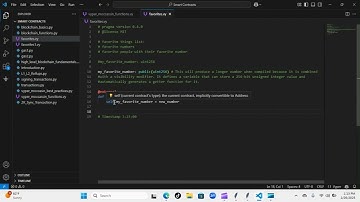 Python Papi / Smart Contracts - Vyper Moccasin Functions - Day 1