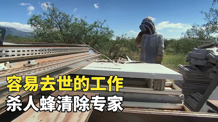 玩命工作01，美國殺人蜂清除專家，每天都要冒死捅蜂窩 - 天天要聞