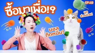 ซื้อมาเพื่อ EP.49 ลูกบอลติดหนึบ! ติดขนจนแมวติดใจ!!【ซอฟรีวิว】