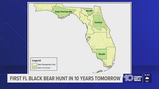First black bear hunt in Florida in 10 years will begin this weekend