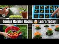 15 Garden Hacks at Dollar Tree || Budget Gardening 🔥