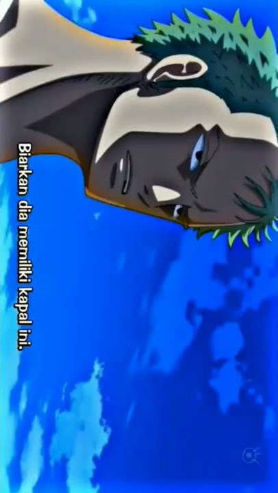 One Piece - Momen bijak Zoro