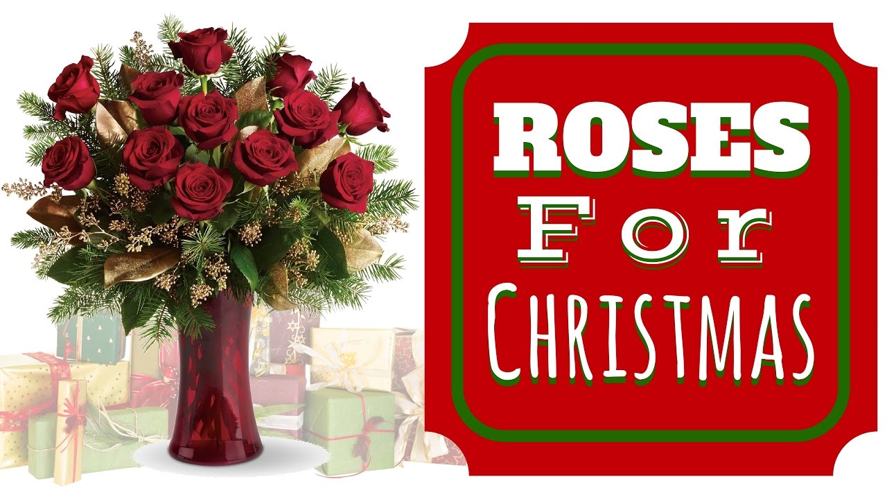 Roses for Christmas Delivery