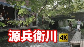 源兵衛川 静岡県三島市 源兵衛川 静岡県三島市