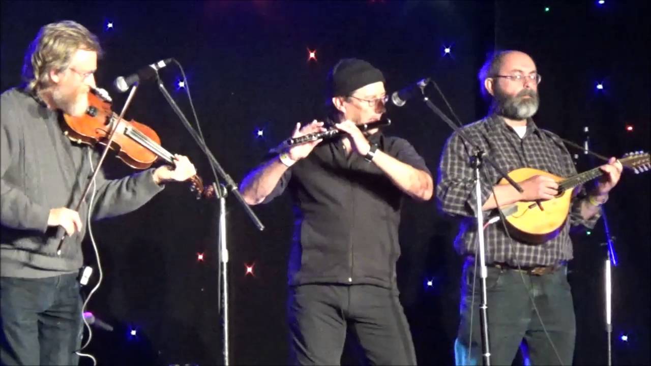 Senor Cabrales   Anton  Portarlington Celtic Festival June 2016